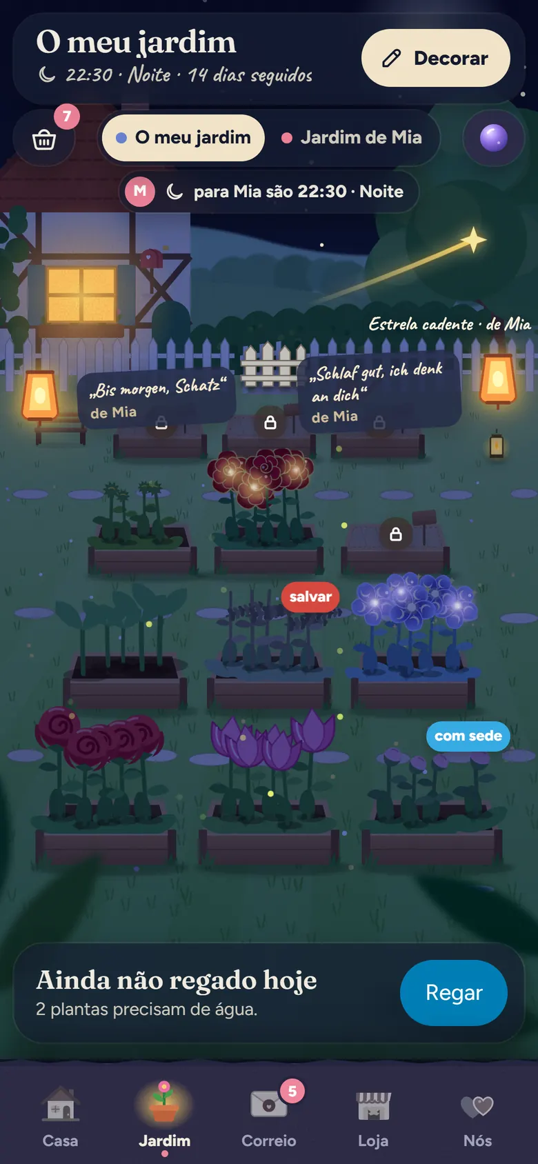O jardim do Leo à noite: lanternas, uma estrela cadente da Mia, bilhetes de boa noite em plaquinhas e canteiros com rosas, tulipas e hortênsias